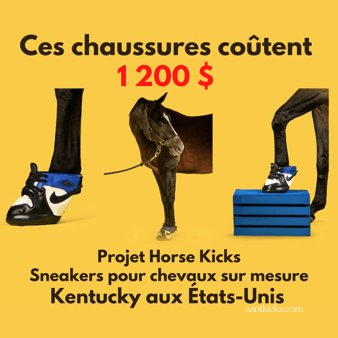 Les premières baskets pour chevaux 1200$ - santkicks