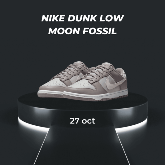 Nike Dunk Low Moon Fossil - santkicks