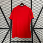 Retro Spain 2010 Home Jersey