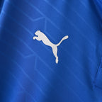 Retro Italy 2012 Jersey