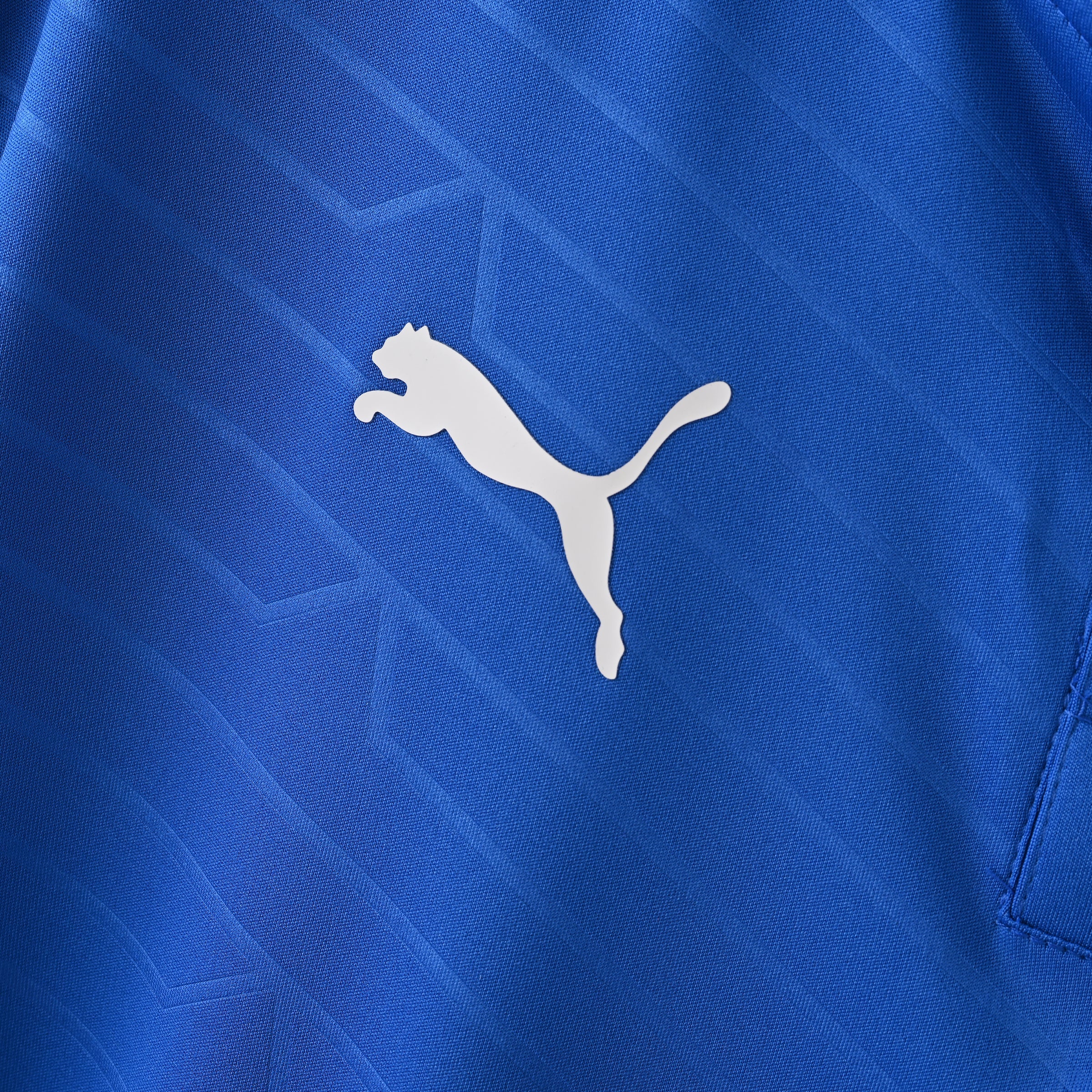 Retro Italy 2012 Jersey