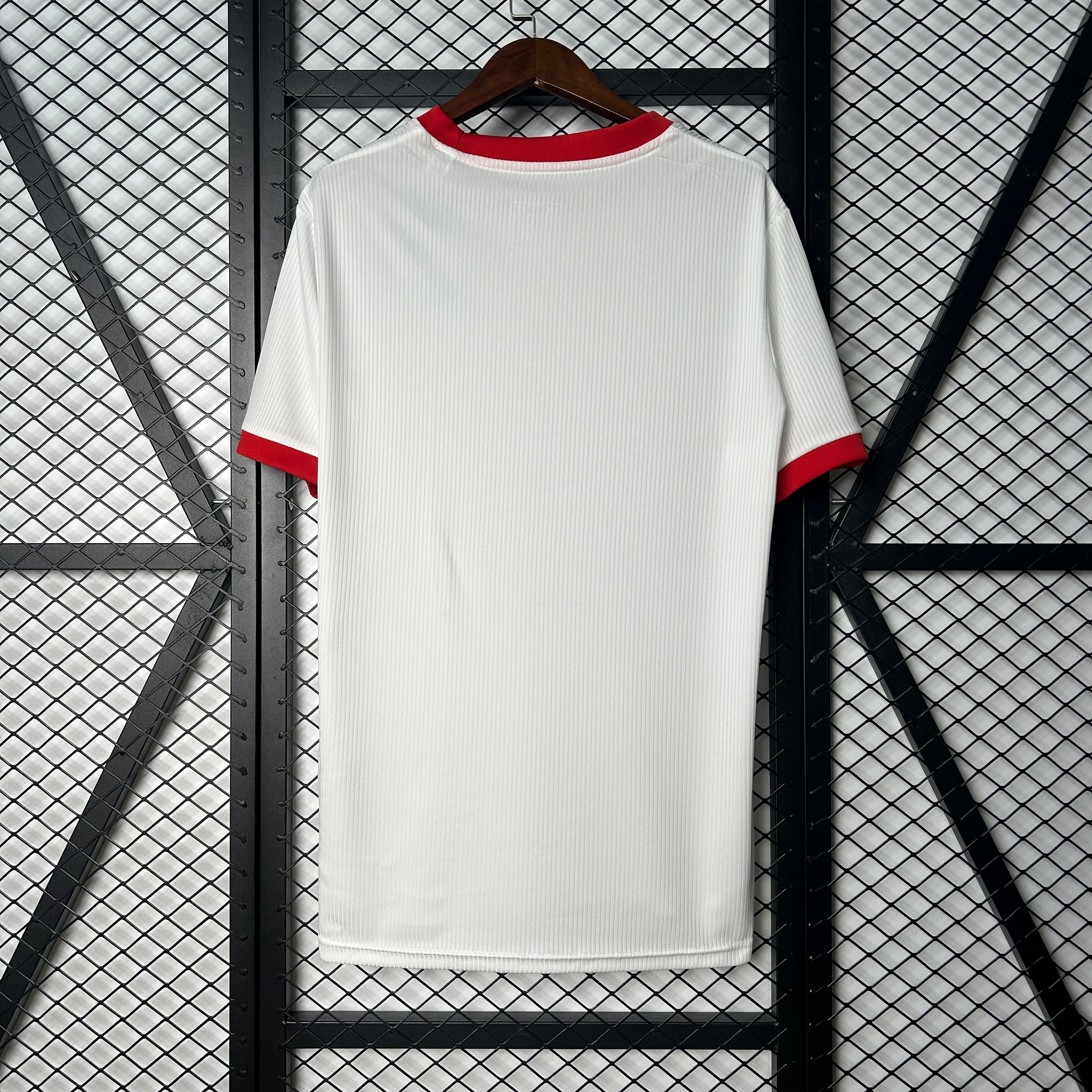 S.L. Benfica 25/26 Special Edition Jersey