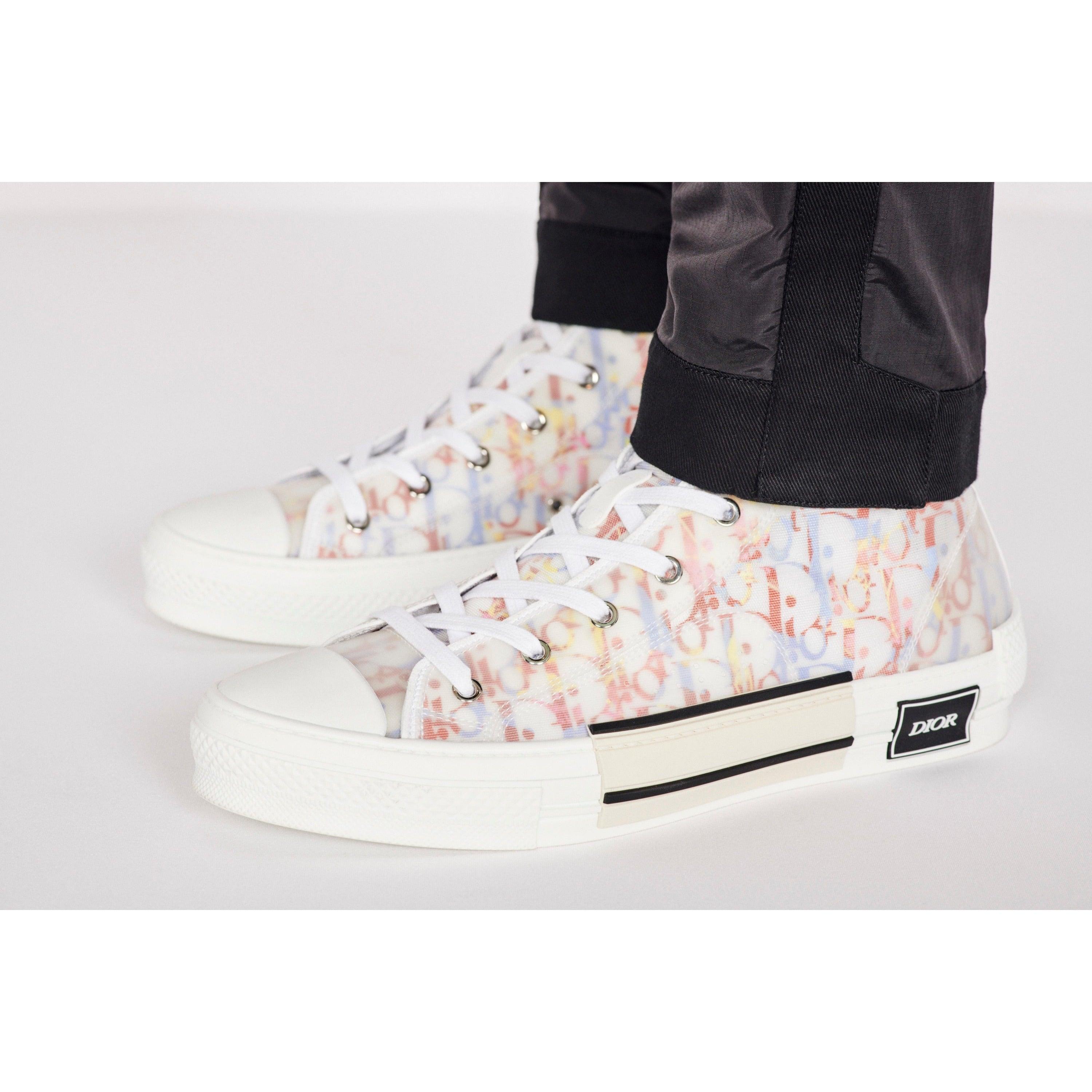 Dior B23 Oblique multicolore