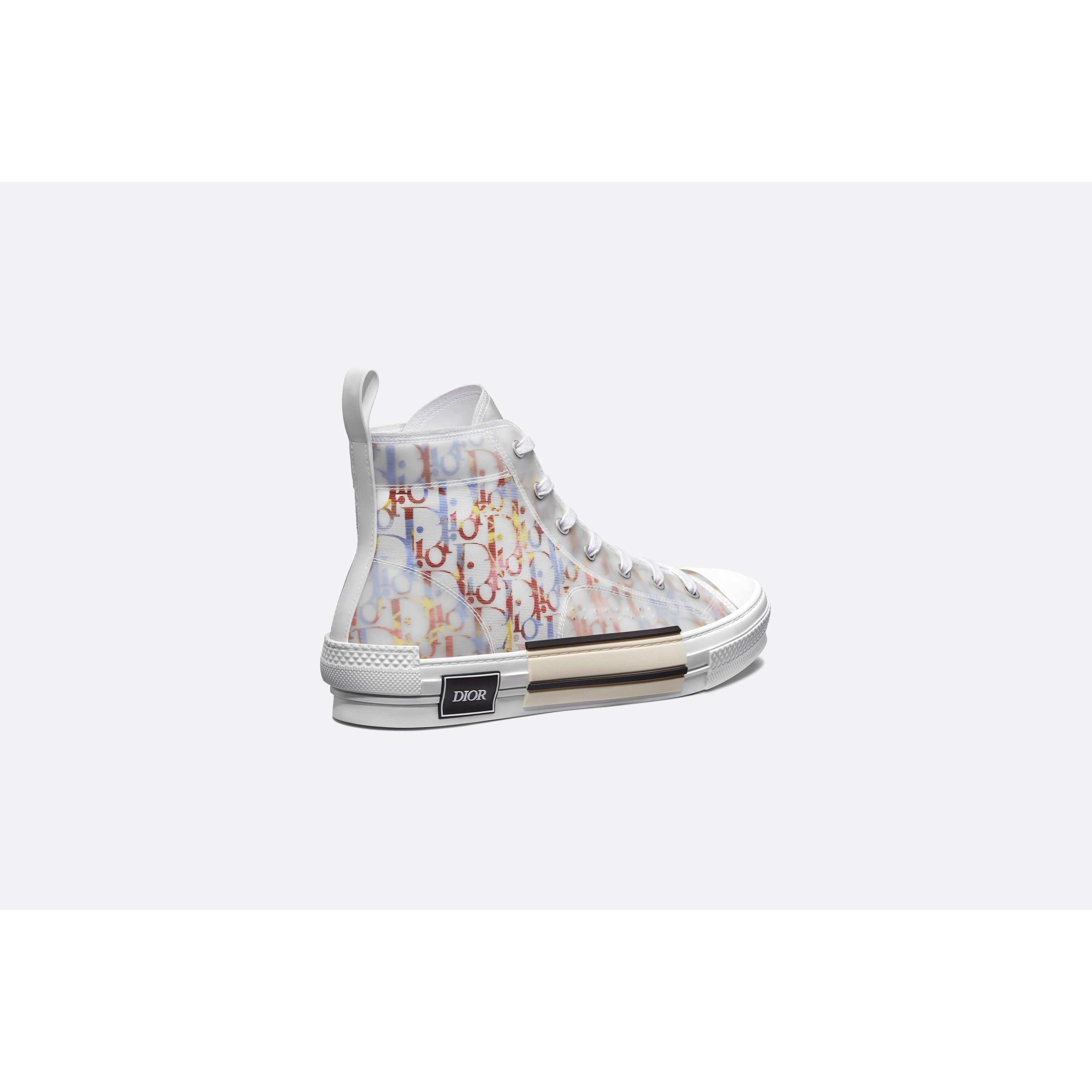 Dior B23 Oblique multicolore