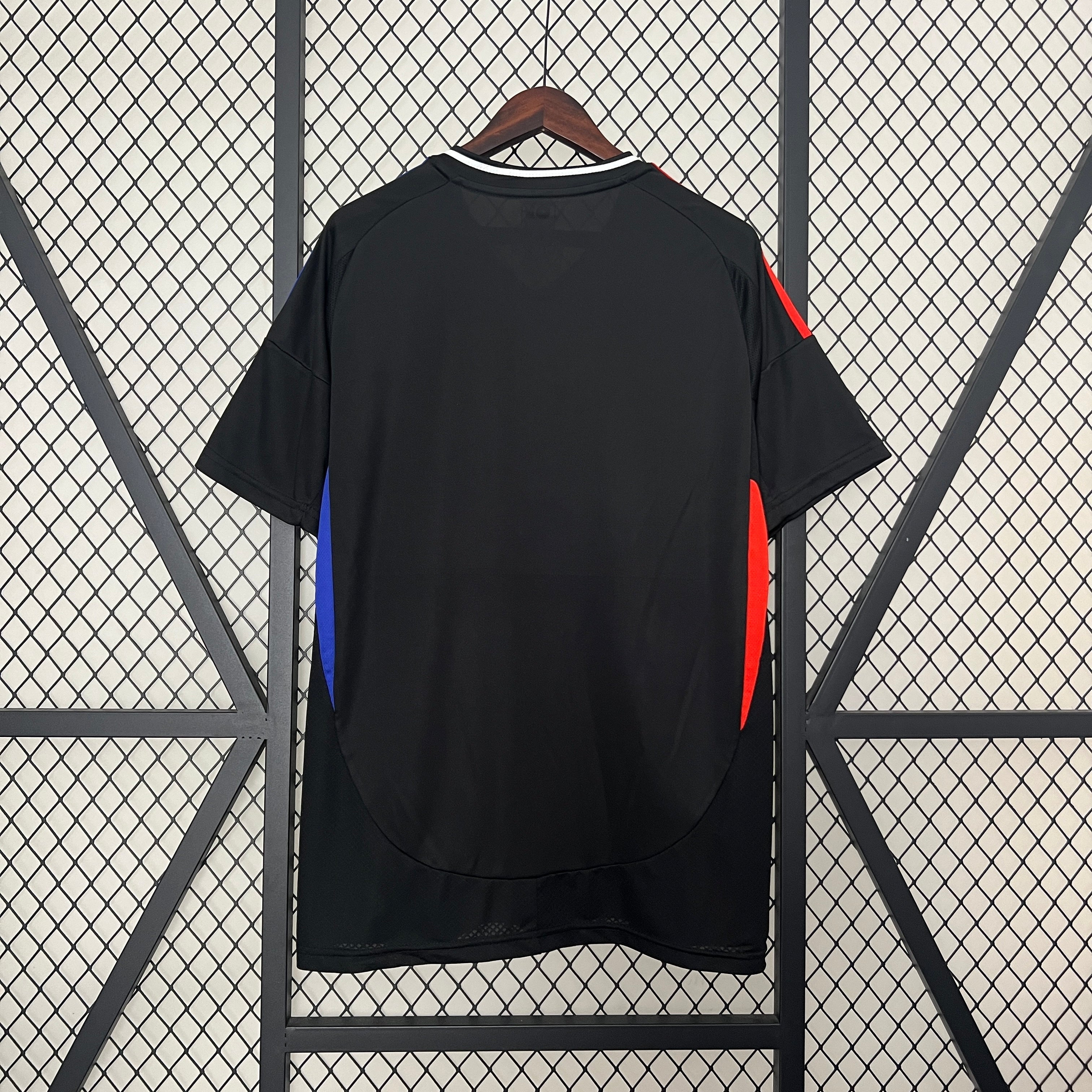 Lyon 2024/25 Away Jersey