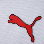 Away 25/26 Men's Shirt