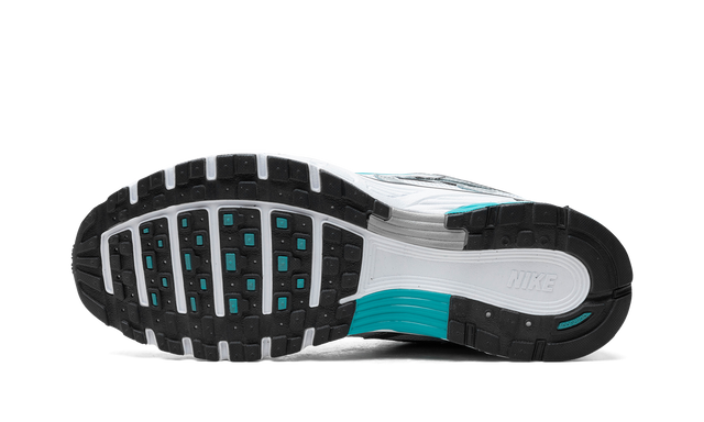 Nike P-6000 Dusty Cactus