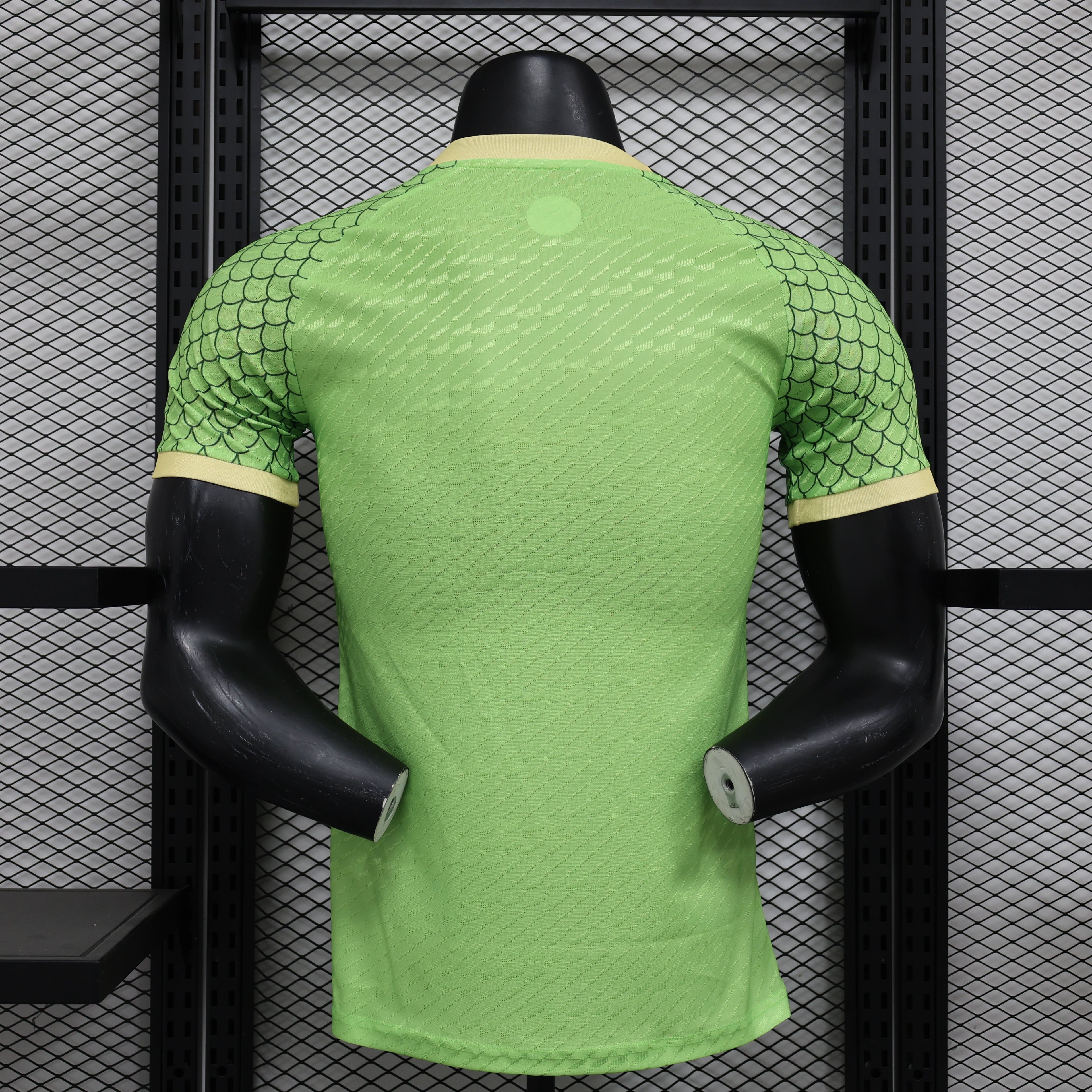 Japan 2024 Special Edition Jersey
