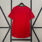 Retro Portugal 2012 Home Jersey