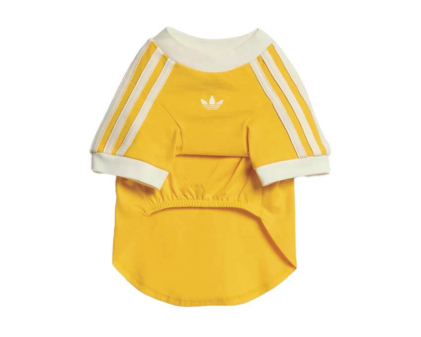 Adidas Pet Cali Tee "Bold Gold"