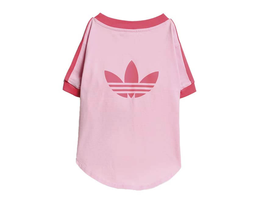 Adidas Pet Cali Tee "Clear Pink"