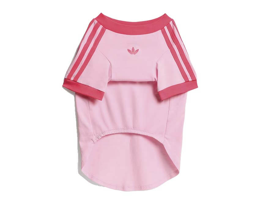 Adidas Pet Cali Tee "Clear Pink"