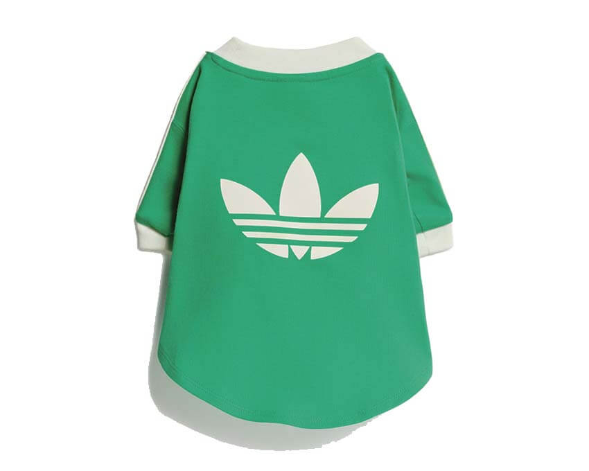 Adidas Pet Cali Tee "Flash Lime"