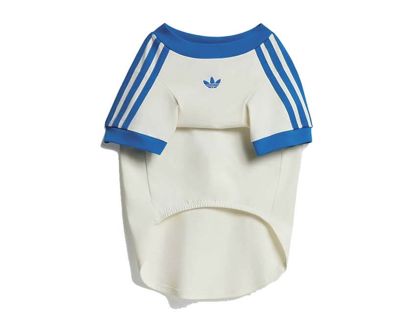 Adidas Pet Cali Tee "Blue Bird"