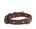 Adidas Pet Collar "Collegiate Burgundy"