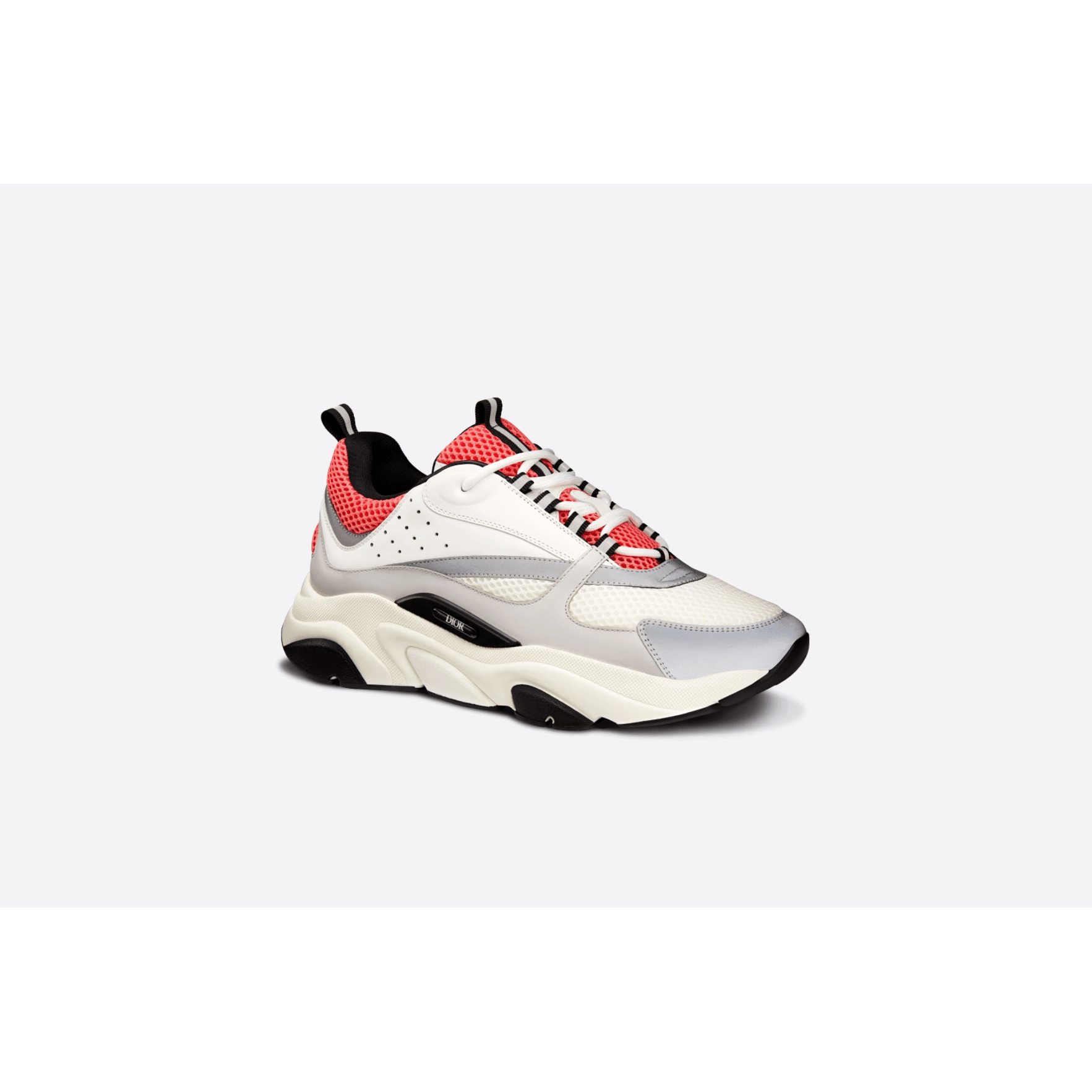 Dior B22