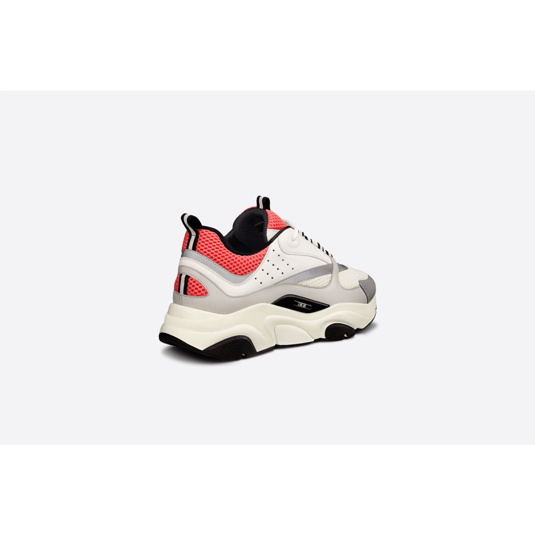 Dior B22