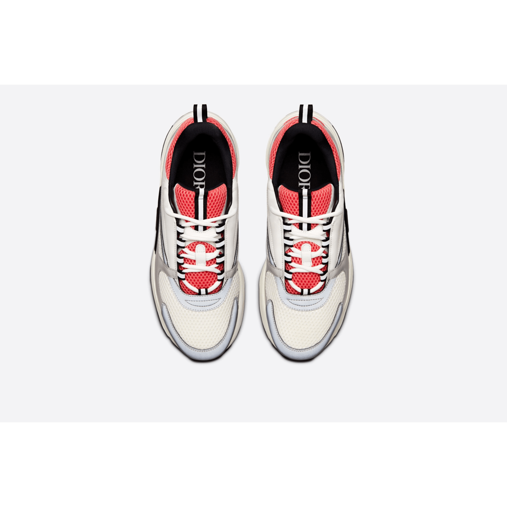 Dior B22