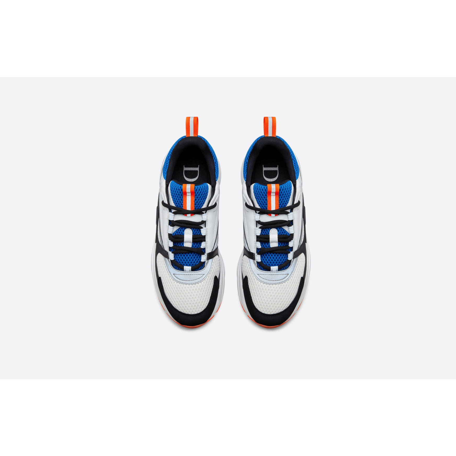Dior B22