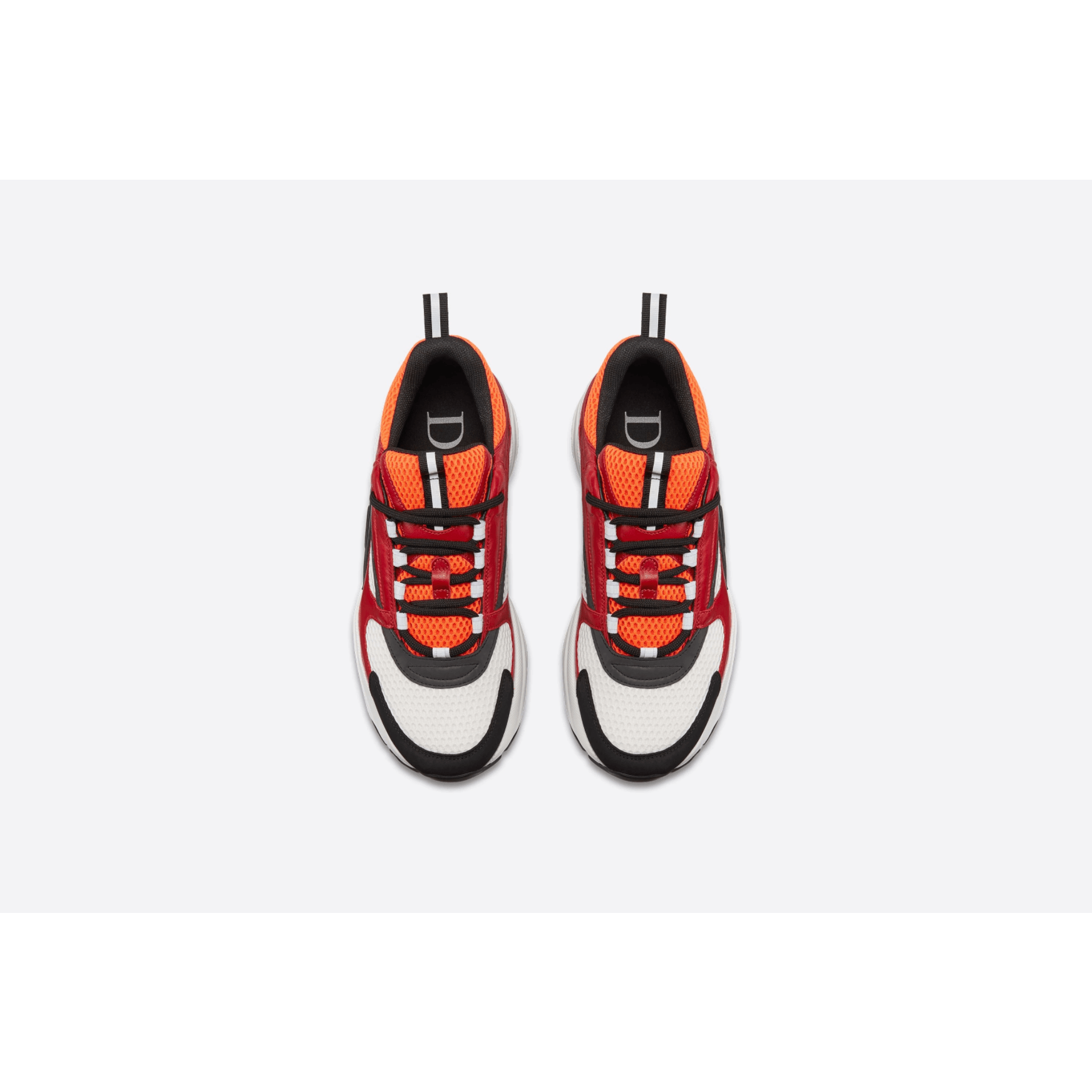 Dior B22