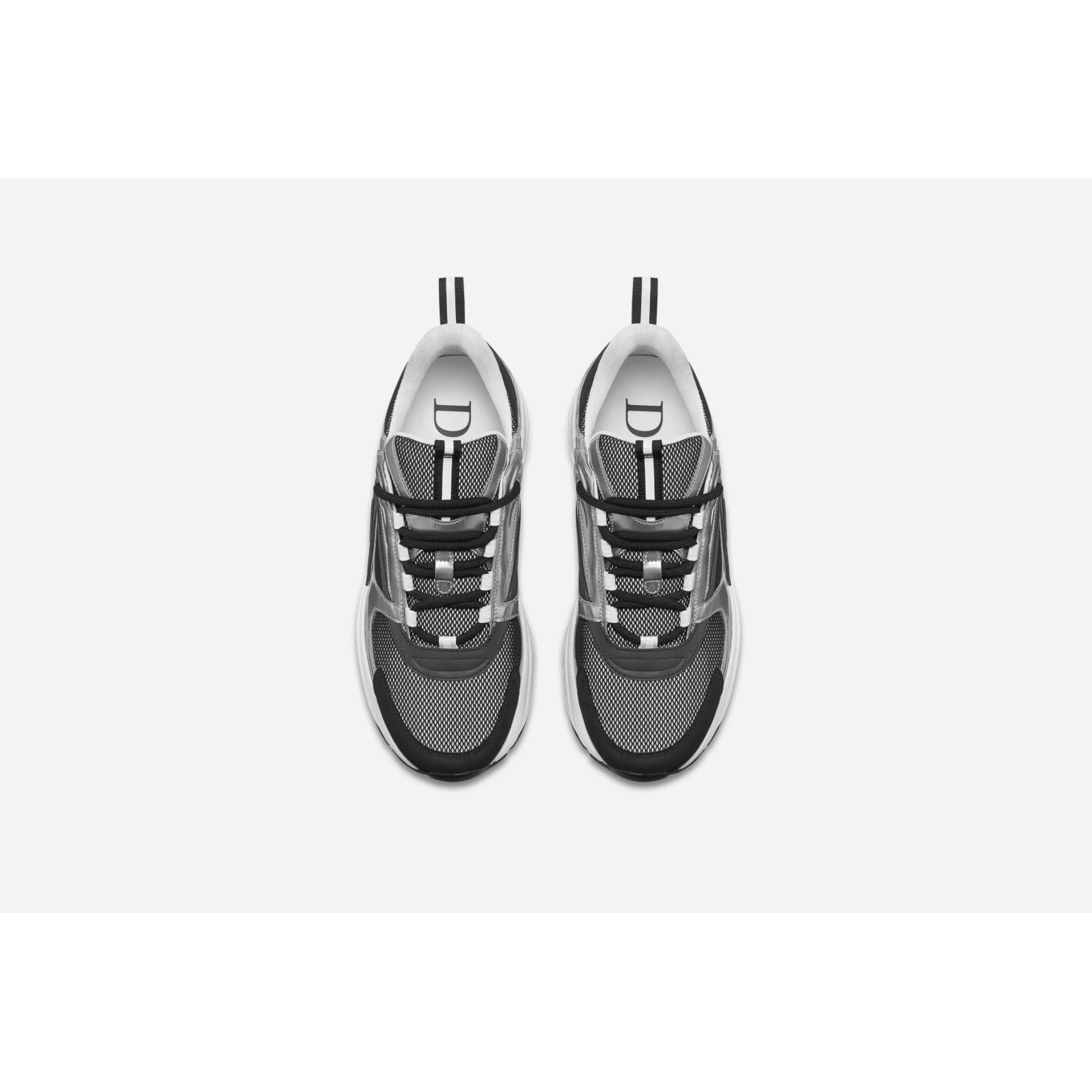 Dior B22
