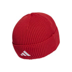 FC Bayern Beanie