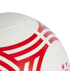 FC Bayern Soccer Ball