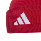 Liverpool FC Beanie