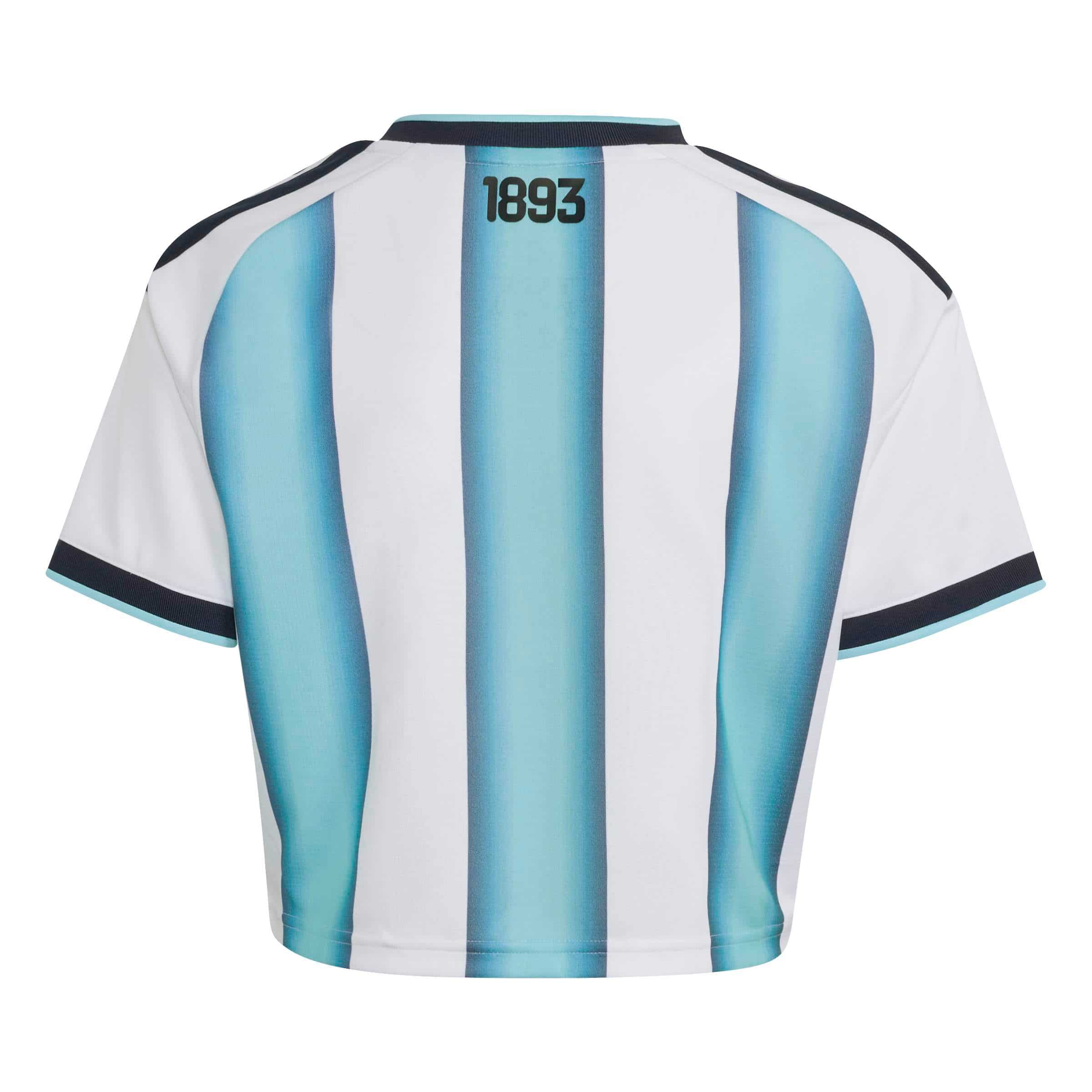 Argentina 26 Home Cropped Jersey