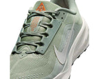 Nike ACG Pegasus Trail "Jade Horizon"