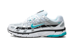 Nike P-6000 Dusty Cactus