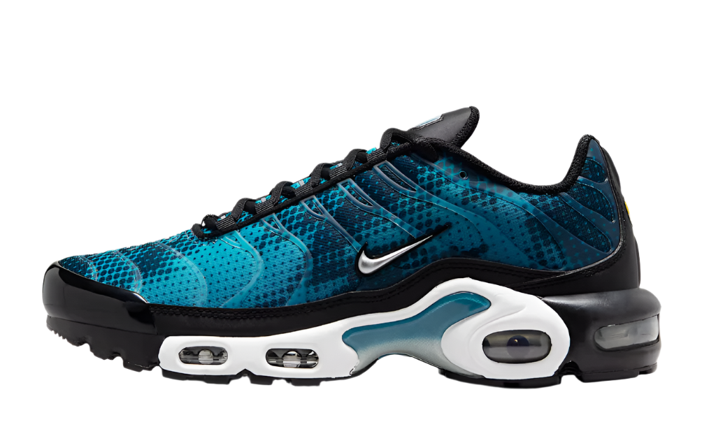 tous les sneakers