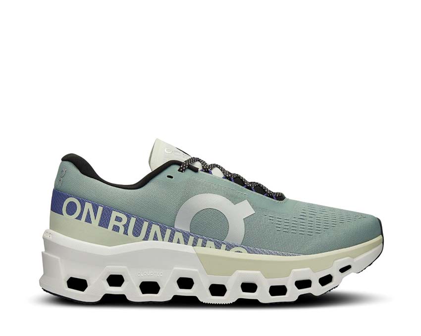 On Cloudmonster 2