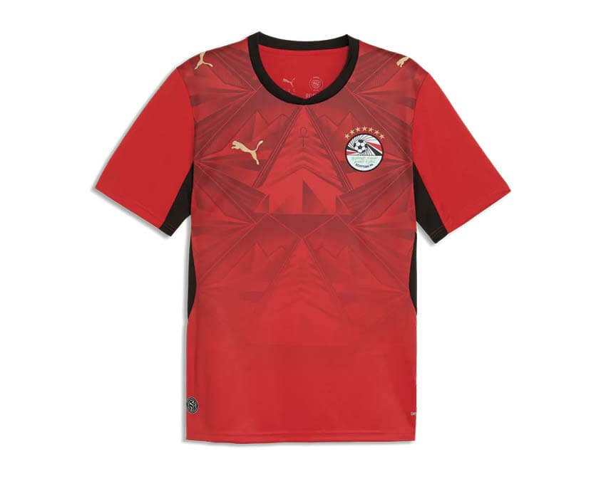 Puma EFA Home Jersey Replica