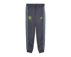 Puma MCFC KING Anthem Pant "Galactic Grey"