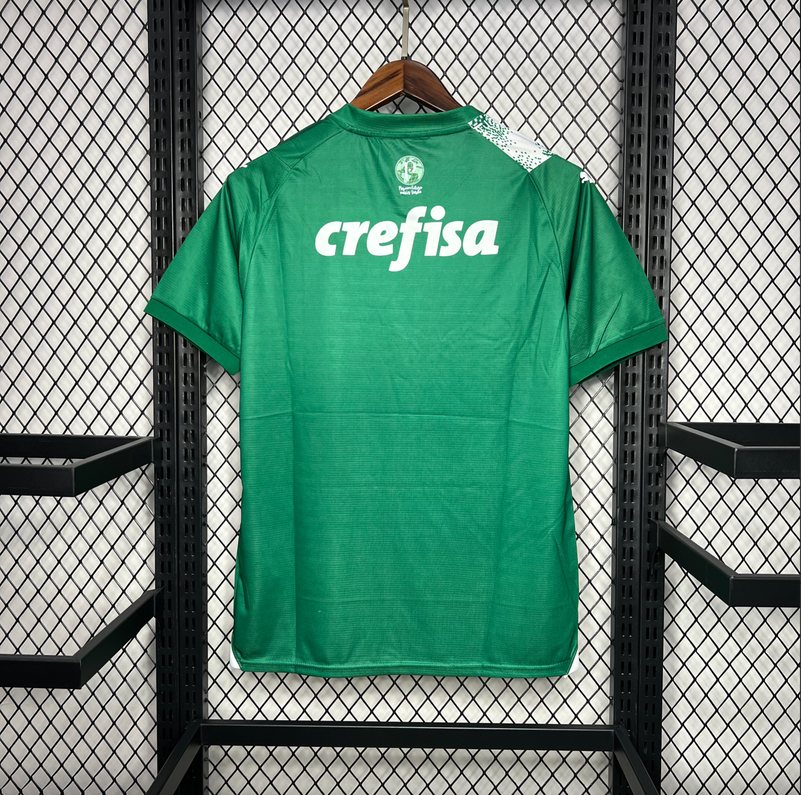 Palmeiras 24/25 Green Special Jersey