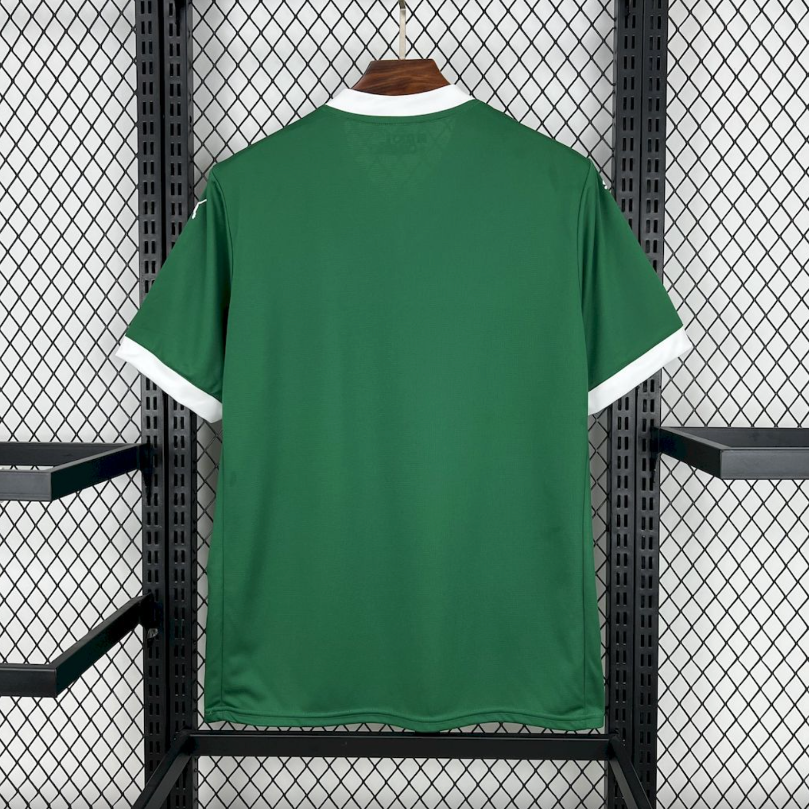Palmeiras 25/26 Home Jersey