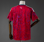 Costa Rica "2026 World Cup" Home Jersey