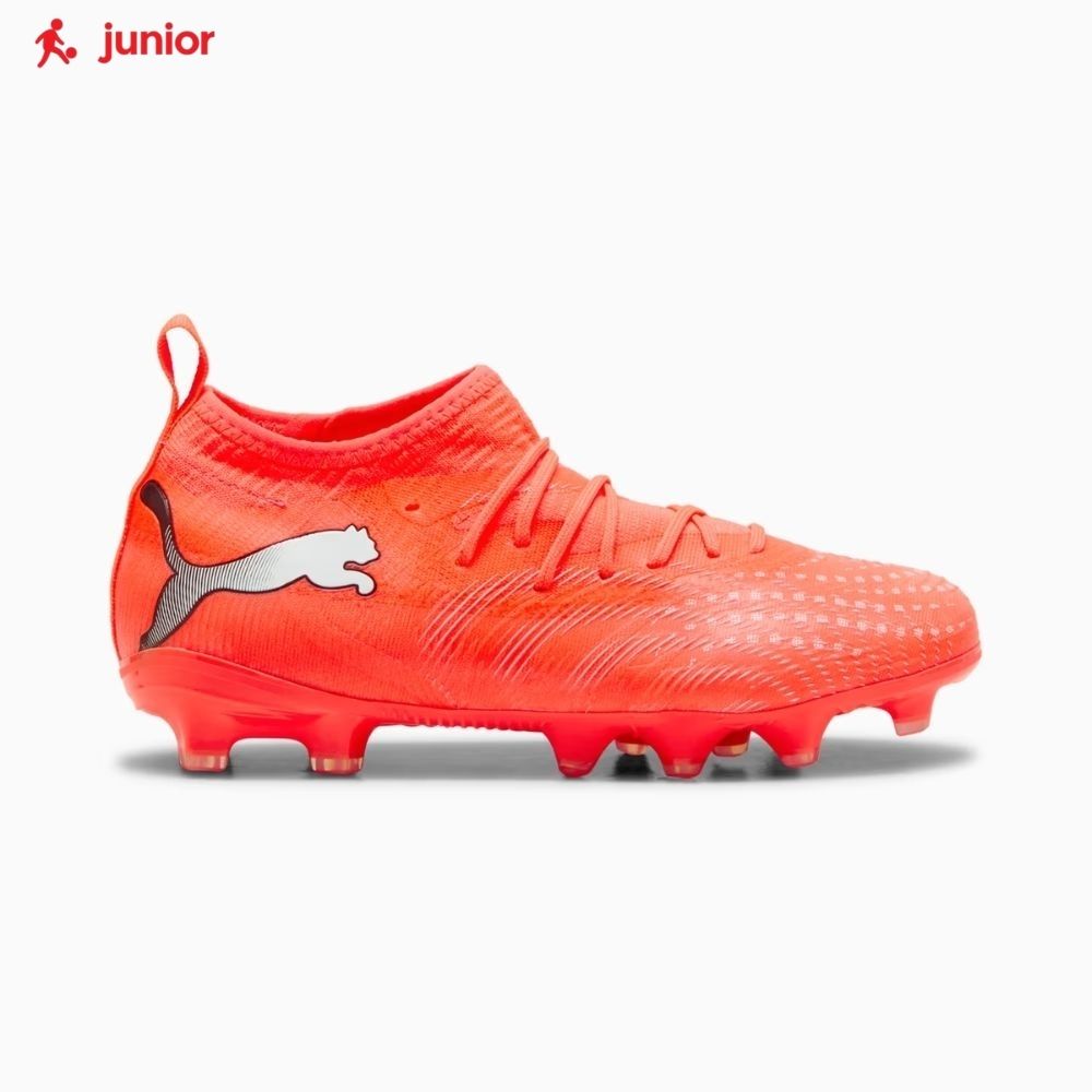 tous les sneakers