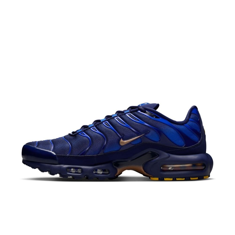 Nike Air Max Plus OG "France" Shoes