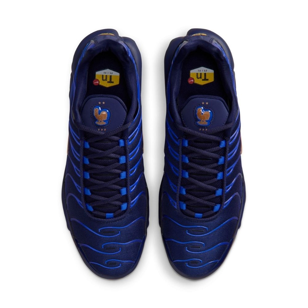 Nike Air Max Plus OG "France" Shoes