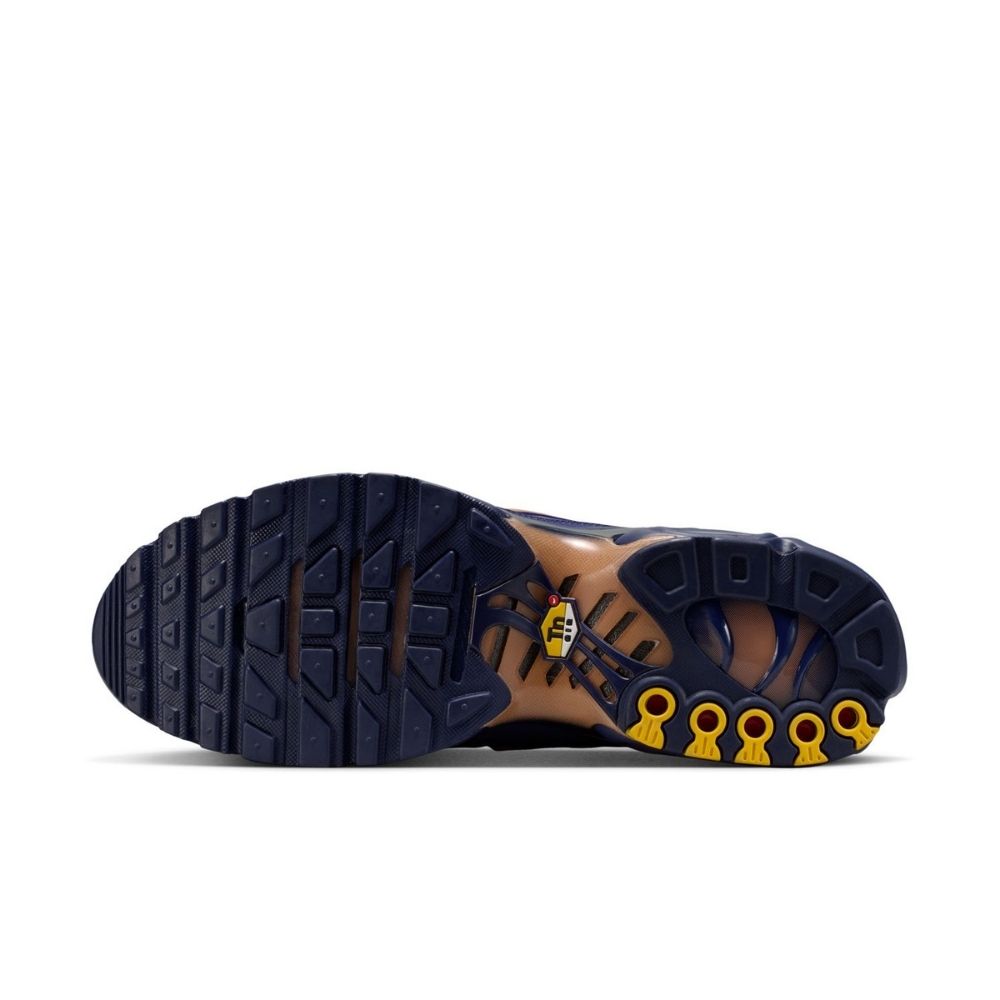 Nike Air Max Plus OG "France" Shoes