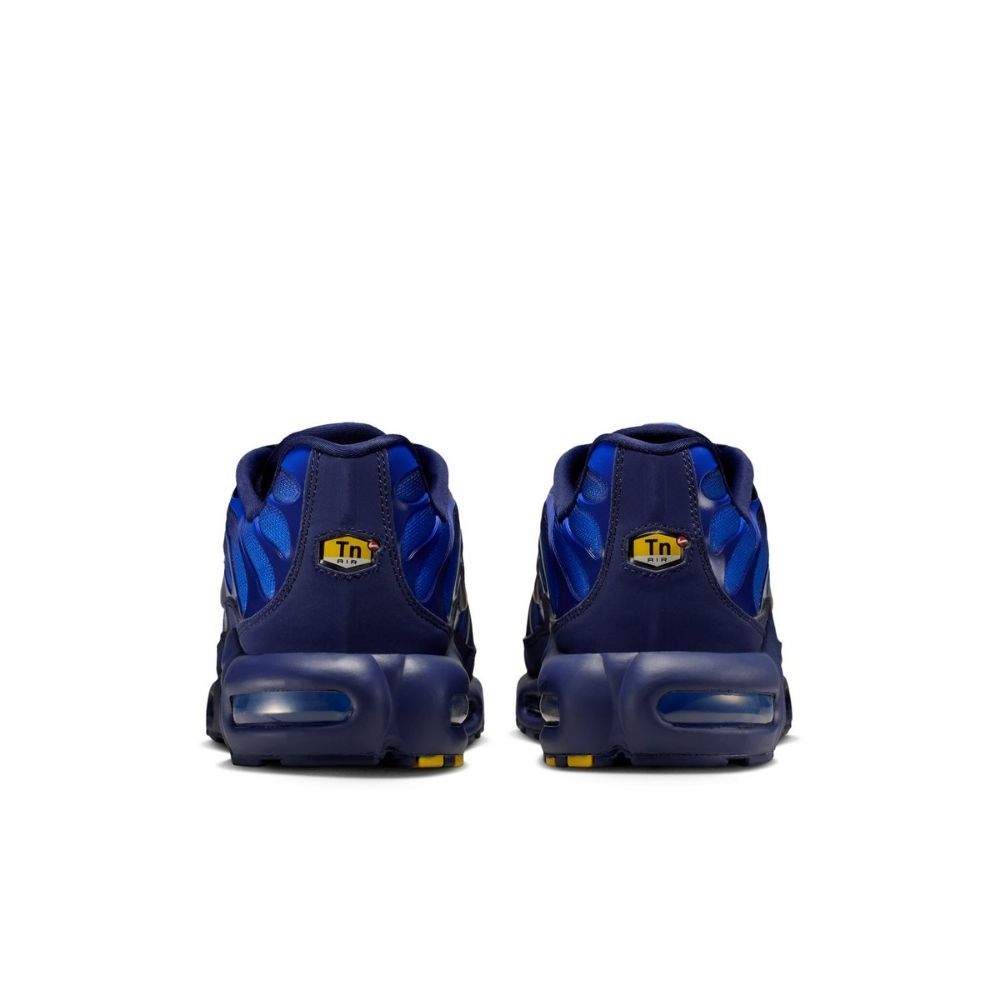 Nike Air Max Plus OG "France" Shoes
