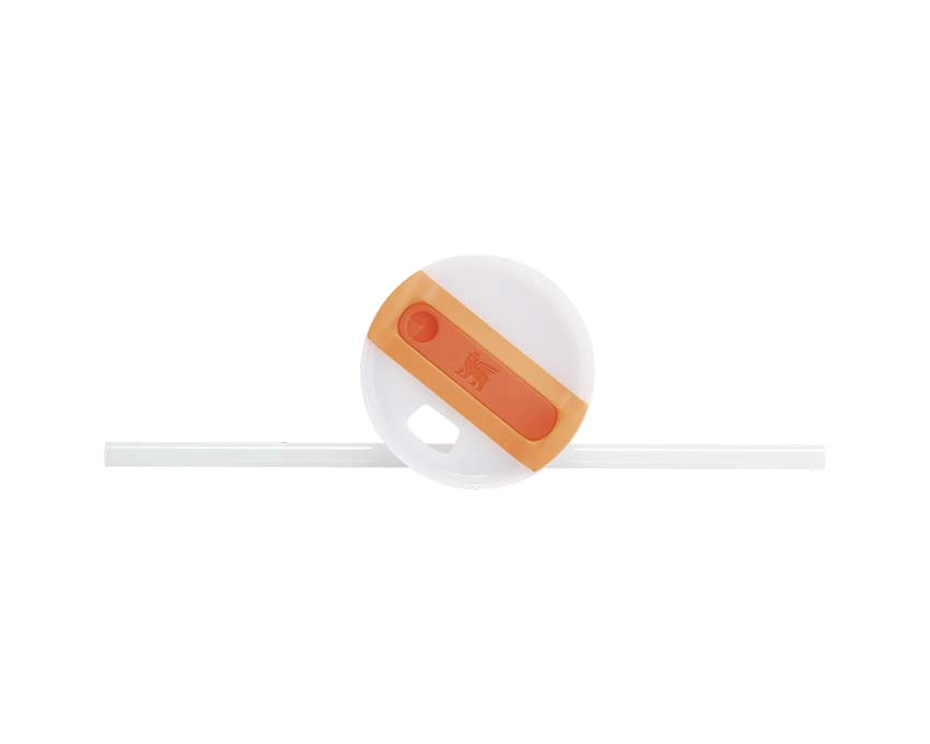 Stanley Quencher H2.O Orange