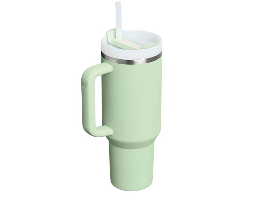 Stanley Quencher H2.O "Pistachio"