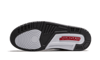 Air Jordan 3 Retro Cool Grey (2021)