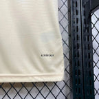 Away 24/25 Men's Shirt