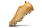 Nike Mercurial Vapor 16