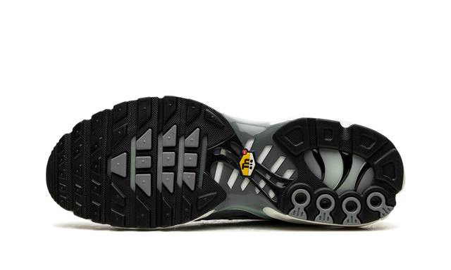 Nike Air Max Plus "Waterway"