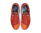 Nike Lebron IX